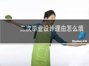 二次毕业设计理由怎么填