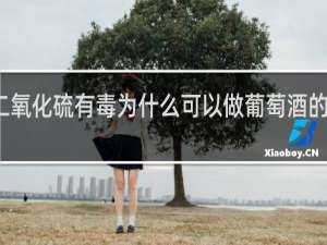 二氧化硫有毒为什么可以做葡萄酒的添加剂