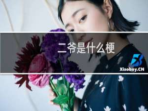 二爷是什么梗