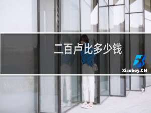 二百卢比多少钱