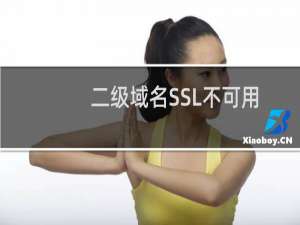 二级域名SSL不可用-域名及账户问题