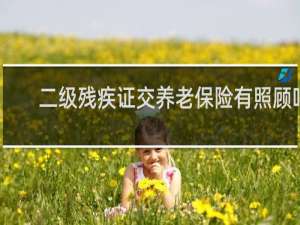 二级残疾证交养老保险有照顾吗