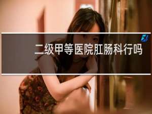 二级甲等医院肛肠科行吗