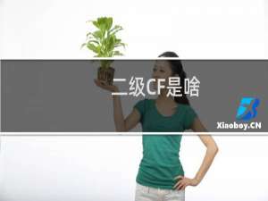 二级CF是啥