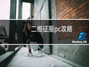 二维征服pc攻略