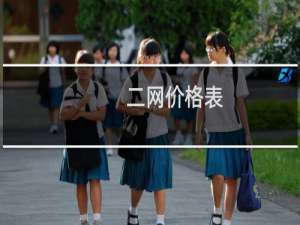 二网价格表