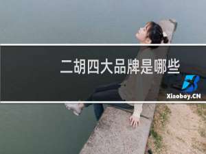 二胡四大品牌是哪些