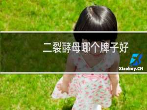 二裂酵母哪个牌子好
