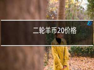 二轮羊币 价格