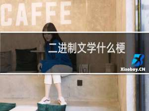 二进制文学什么梗