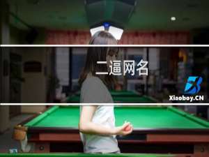 二逼网名