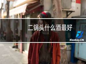 二锅头什么酒最好
