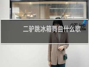 二驴跳冰箱舞曲什么歌