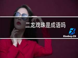 二龙戏珠是成语吗