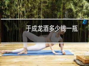 于成龙酒多少钱一瓶