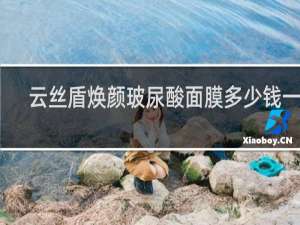 云丝盾焕颜玻尿酸面膜多少钱一盒