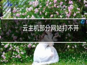 云主机部分网站打不开-其他问题