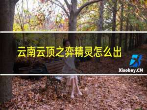 云南云顶之弈精灵怎么出