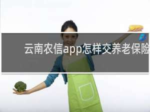 云南农信app怎样交养老保险
