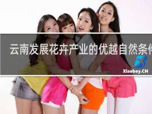 云南发展花卉产业的优越自然条件是