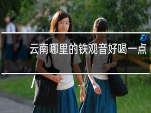 云南哪里的铁观音好喝一点