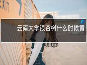 云南大学银杏树什么时候黄
