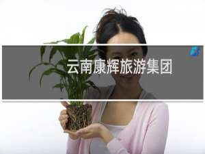 云南康辉旅游集团