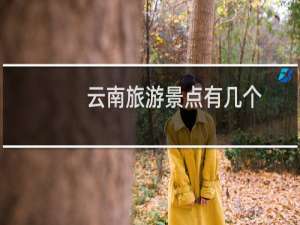 云南旅游景点有几个