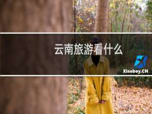 云南旅游看什么