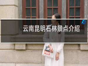 云南昆明石林景点介绍