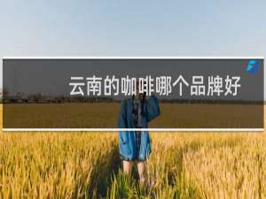 云南的咖啡哪个品牌好