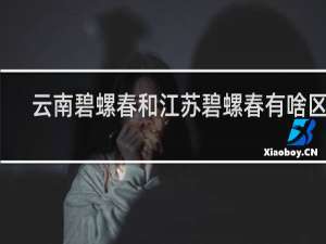 云南碧螺春和江苏碧螺春有啥区别