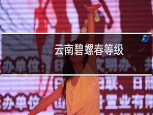 云南碧螺春等级