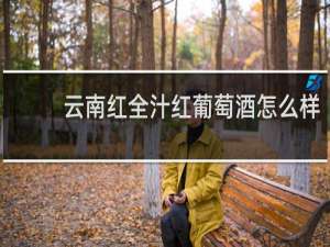 云南红全汁红葡萄酒怎么样