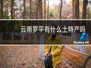 云南罗平有什么土特产吗