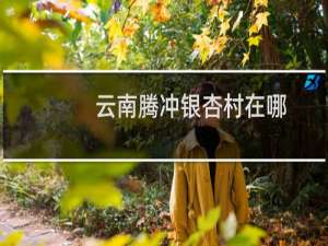 云南腾冲银杏村在哪