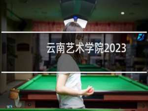 云南艺术学院2023年高考文化课成绩最低控制分数线