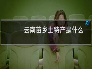 云南苗乡土特产是什么