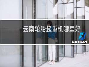 云南轮胎起重机哪里好