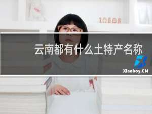 云南都有什么土特产名称