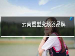 云南重型变频器品牌