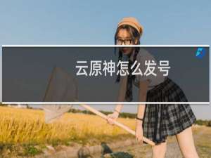 云原神怎么发号