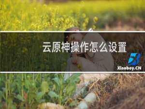 云原神操作怎么设置