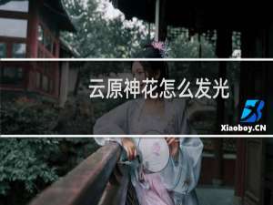 云原神花怎么发光