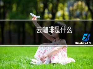 云咖啡是什么