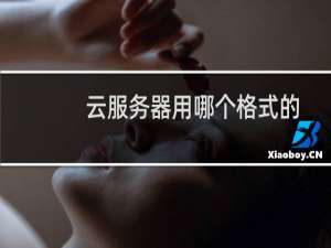 云服务器用哪个格式的证书