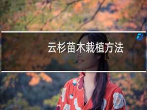云杉苗木栽植方法