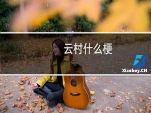 云村什么梗