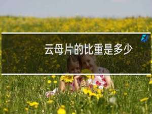 云母片的比重是多少
