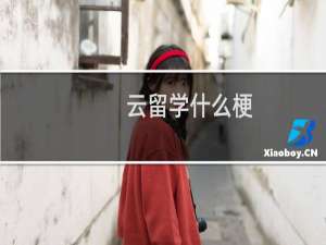 云留学什么梗